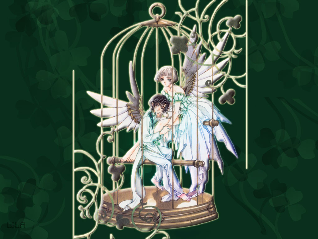 [clover_wall.jpg]