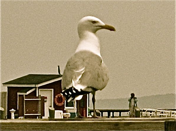 smilla4blogs: May 2010