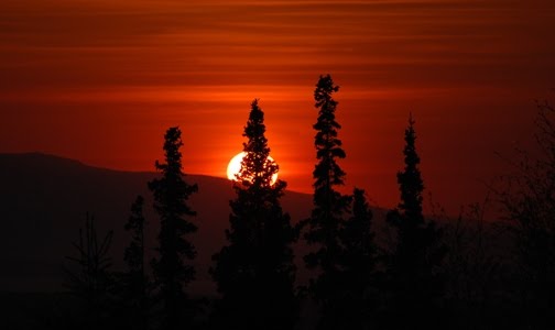 [Alaska+Sunset+Trees+from+the+deck+Bryan+Mulder+Flickr+Photo.jpg]