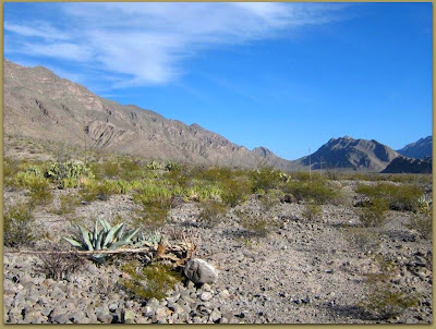 mexico desert