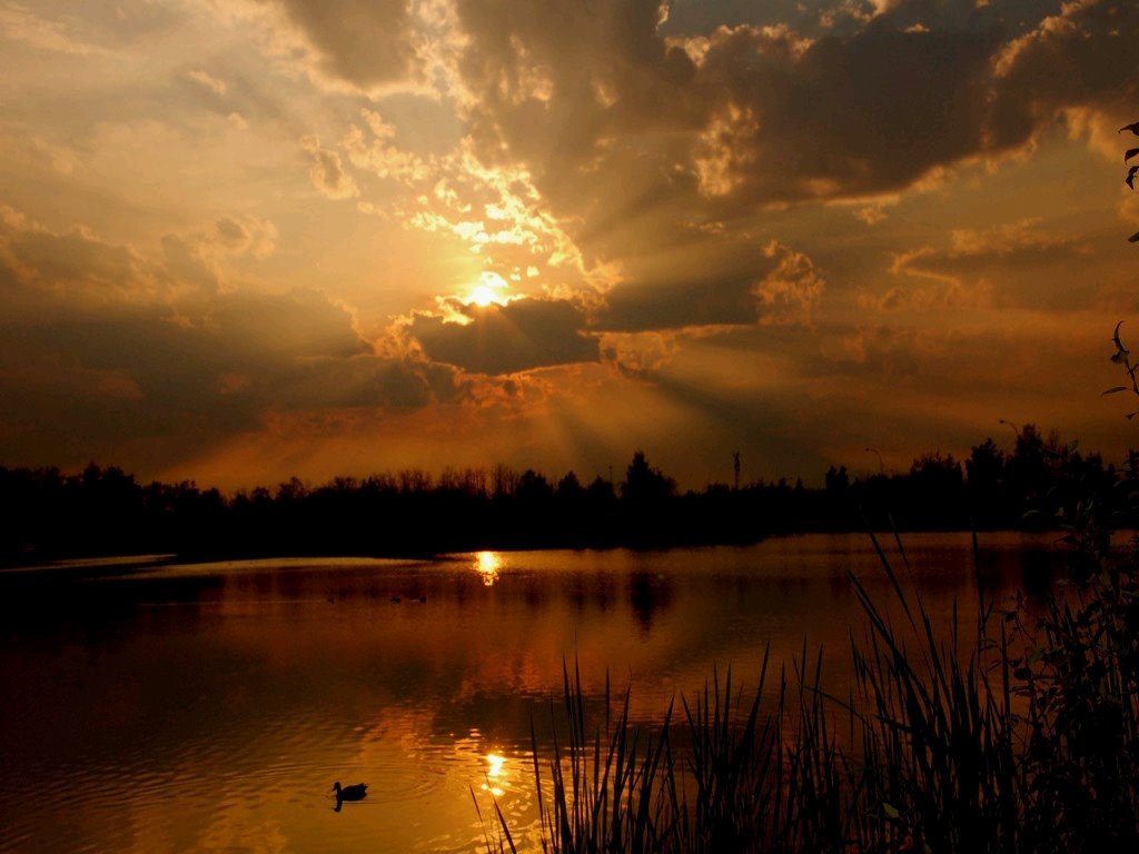 [lago.bmp]