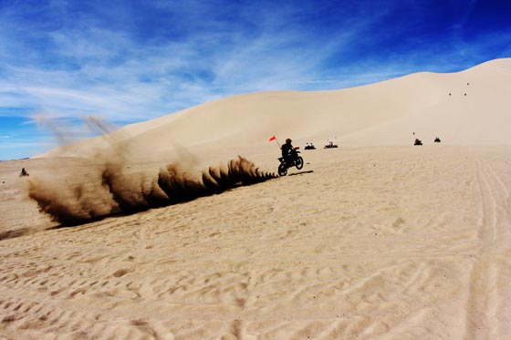 A guy on a motorcycle speeding across and up Sand Mountain in Nevada.
