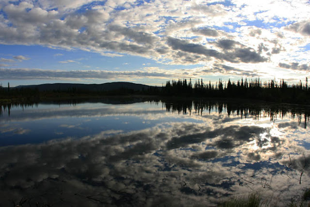 Trees and clouds just east of the Alaska border in the Yukon Territory of Canada.