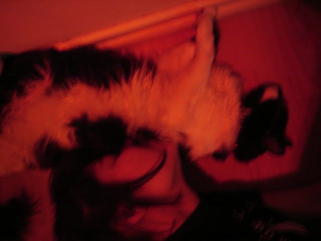 [DSC08321.JPG]
