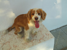 Mi foto