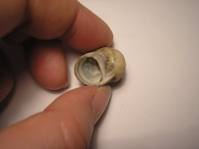 [Image: P7191779.JPG]