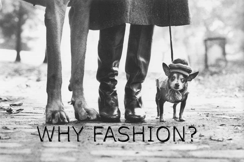 WHY FASHION?