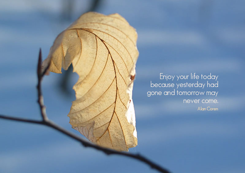beautiful quotes on life wallpapers. eautiful quotes on life