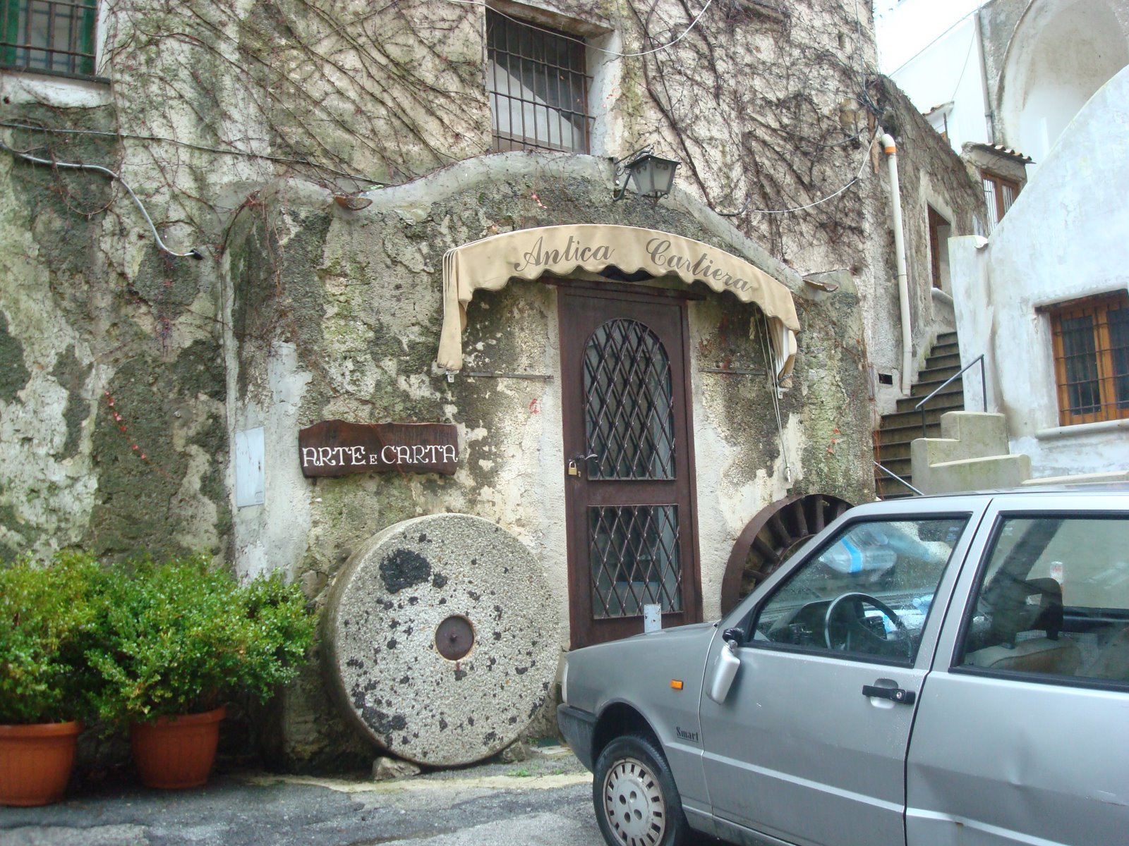 [DSC01291.JPG]