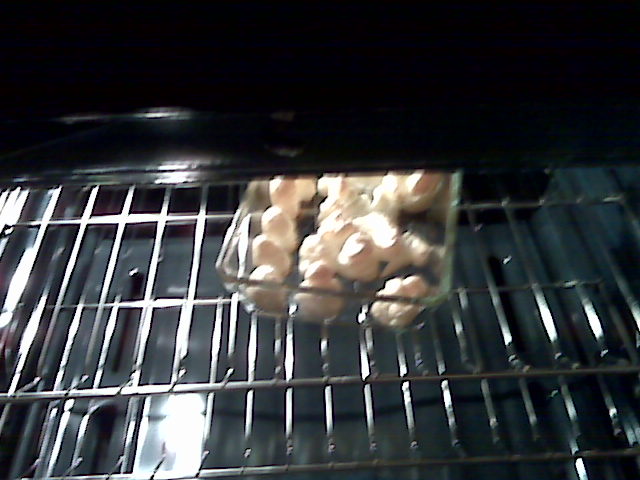 [=?utf-8?B?SU1HMDAxNTkuanBn?=-757866]