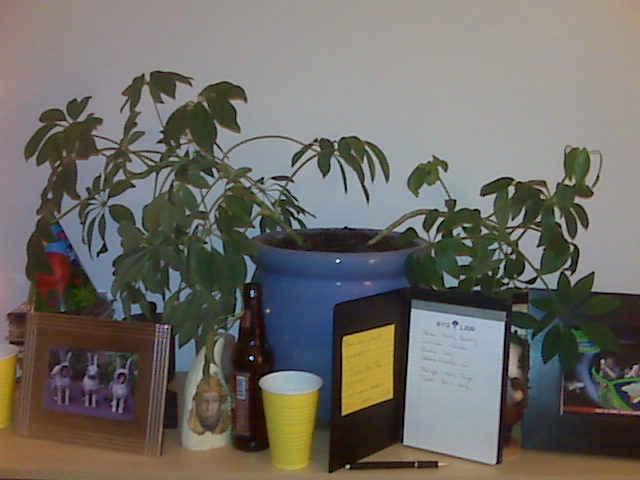 [=?utf-8?B?L01lZGlhIENhcmQvQmxhY2tCZXJyeS9waWN0dXJlcy9JTUcwMDMwOS5qcGc=?=-737868]