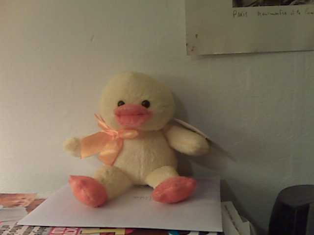 [=?utf-8?B?L01lZGlhIENhcmQvQmxhY2tCZXJyeS9waWN0dXJlcy9JTUcwMDQyOC5qcGc=?=-794154]