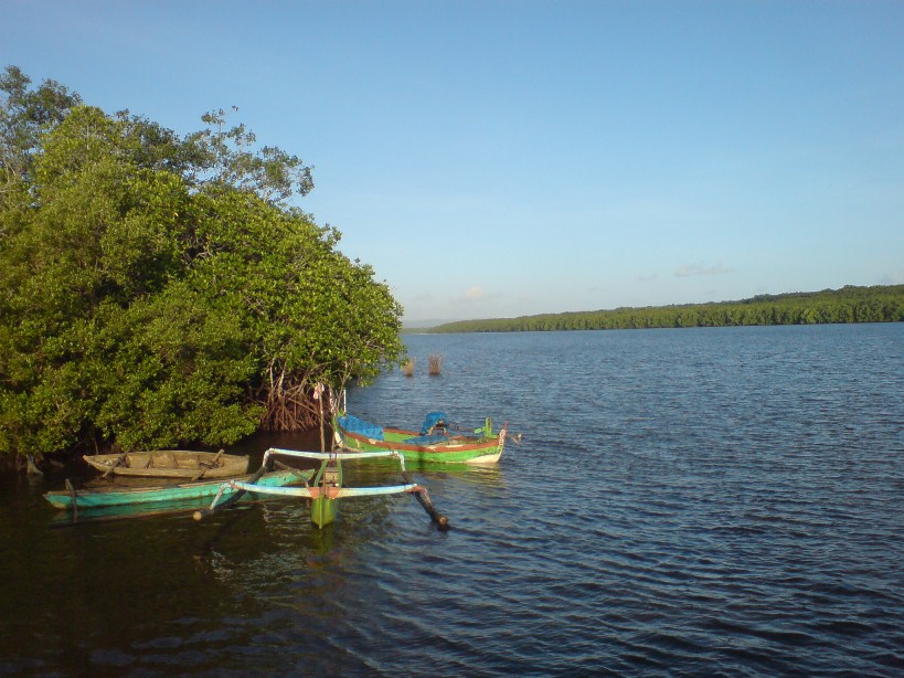 virtual touring: Pantai Bedul Banyuwangi
