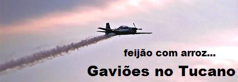 Arroz e Feijao - Gaviões no Tucano