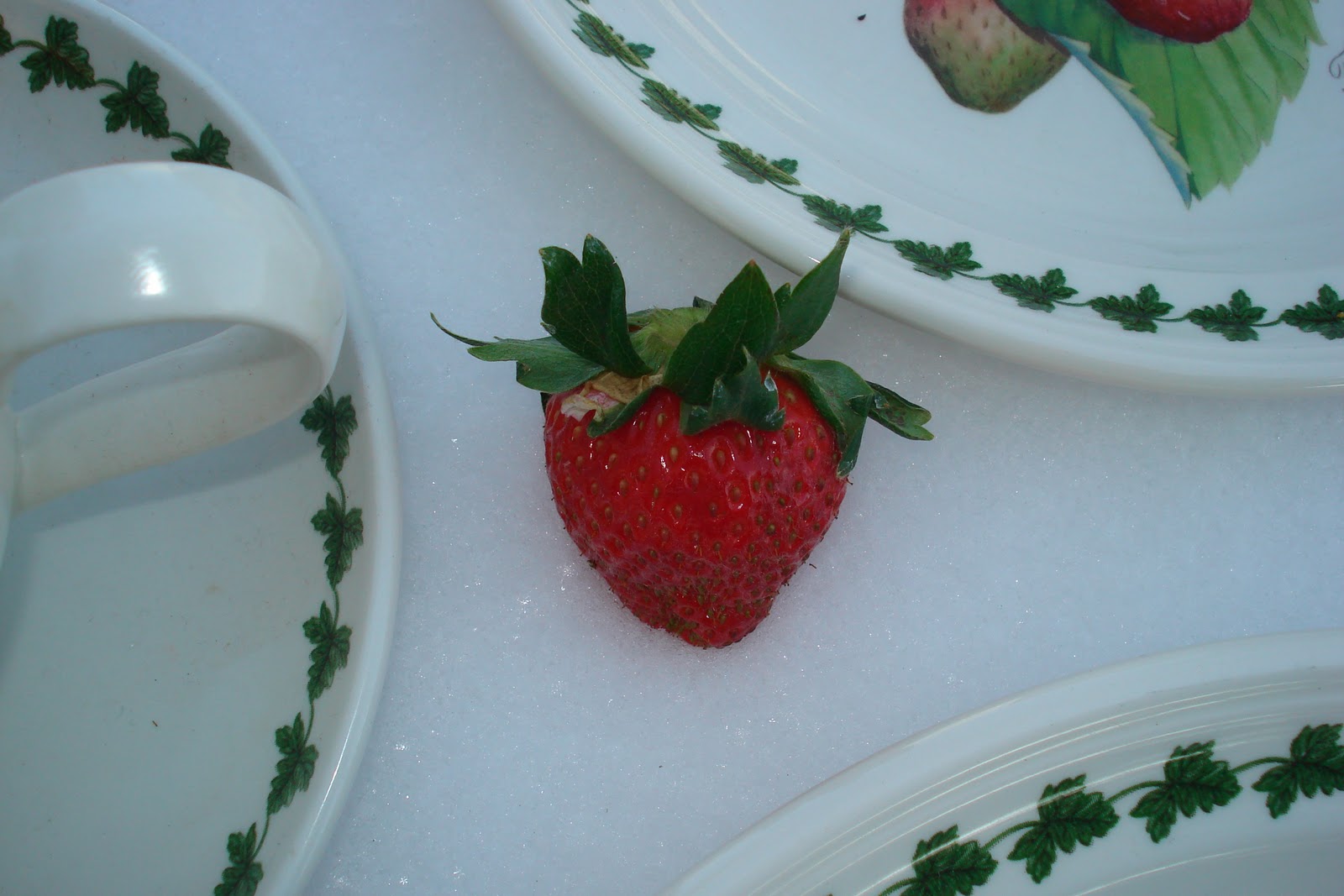 Curtains In My Tree Strawberries In The Snow