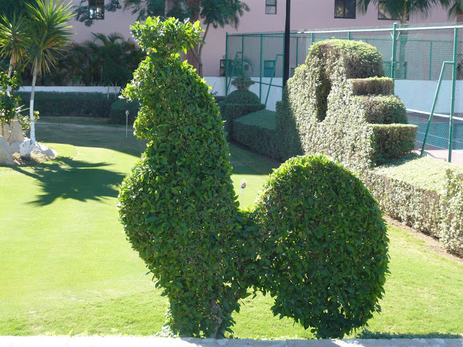 Topiary