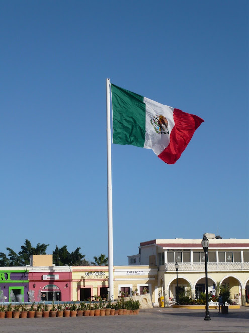 Mexican Flag