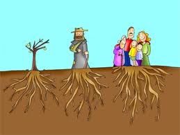 FAMILIA FRUTOS familia frutos: