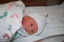 sophia nicole 1.5.10