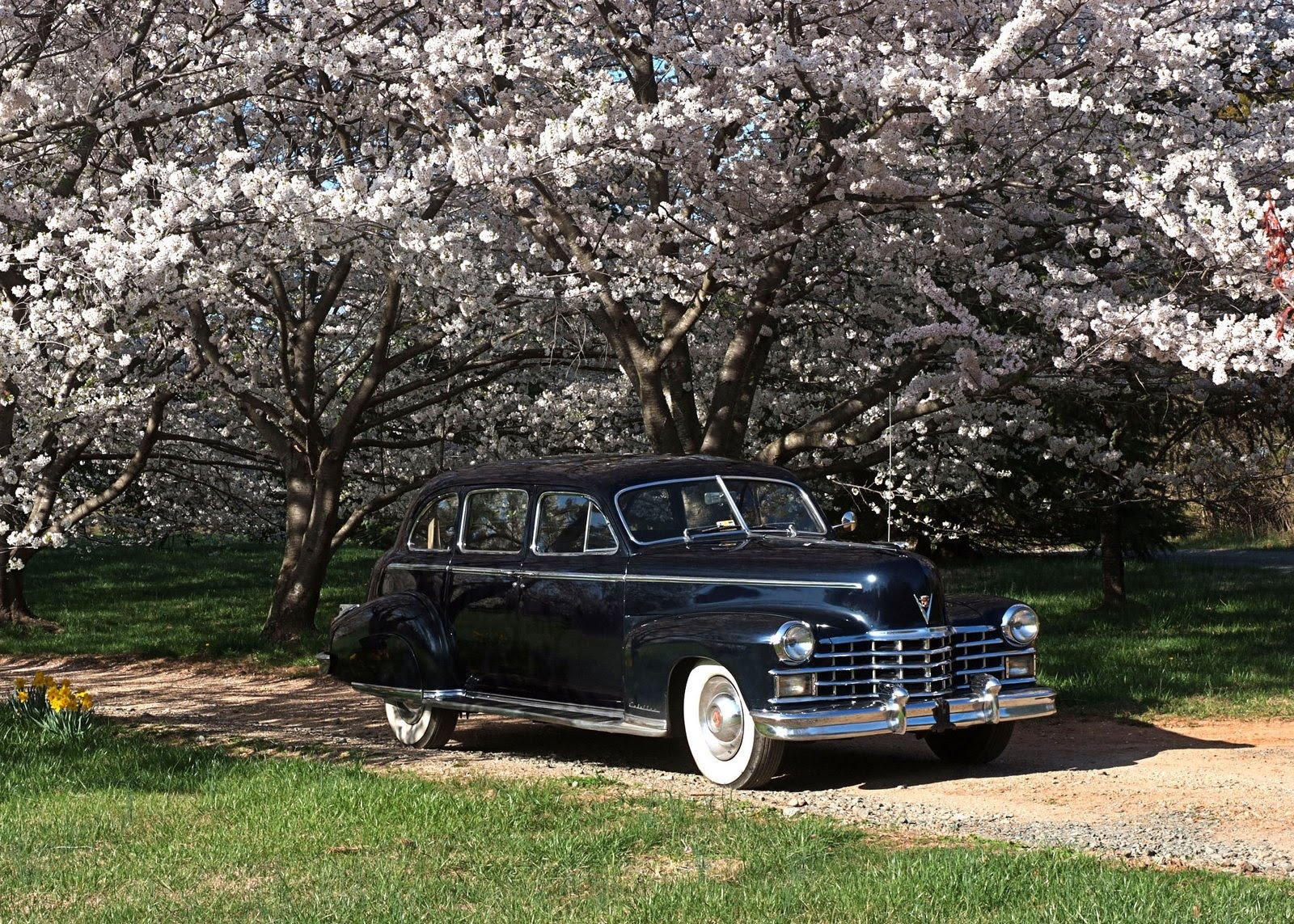 Albemarle Vintage Limousine 1948 Fleetwood Cadillac limousine