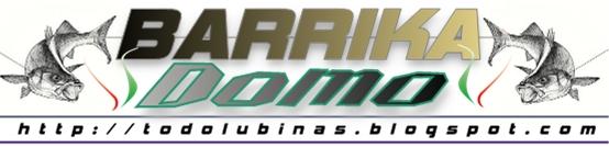 [BARRIKA+-+DOMO.jpg]