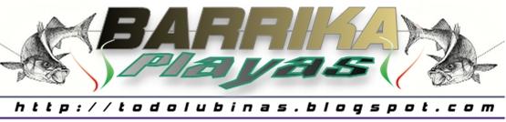 [BARRIKA+-+PLAYAS.jpg]