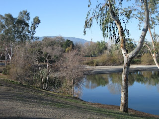 Almaden Lake Park, San Jose CA