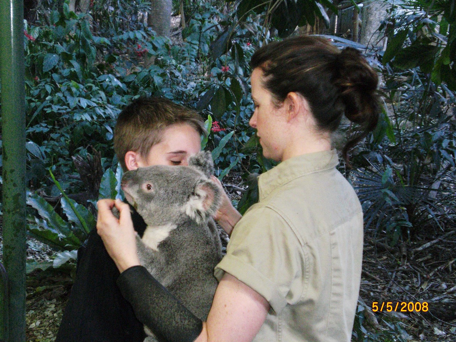 [Koala+Bear+Sanctuary+May+2008+059.jpg]