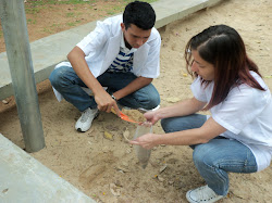 Avaliação Microbiológica Praça da Assembleia BH/MG TIG 2010