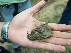 Campo Pedologia Embrapa milho e Sorgo Sete Lagoas