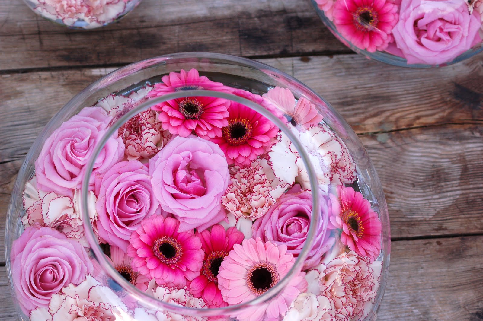 AUREA flores: PECERAS ROSAS - PINK FISH TANK