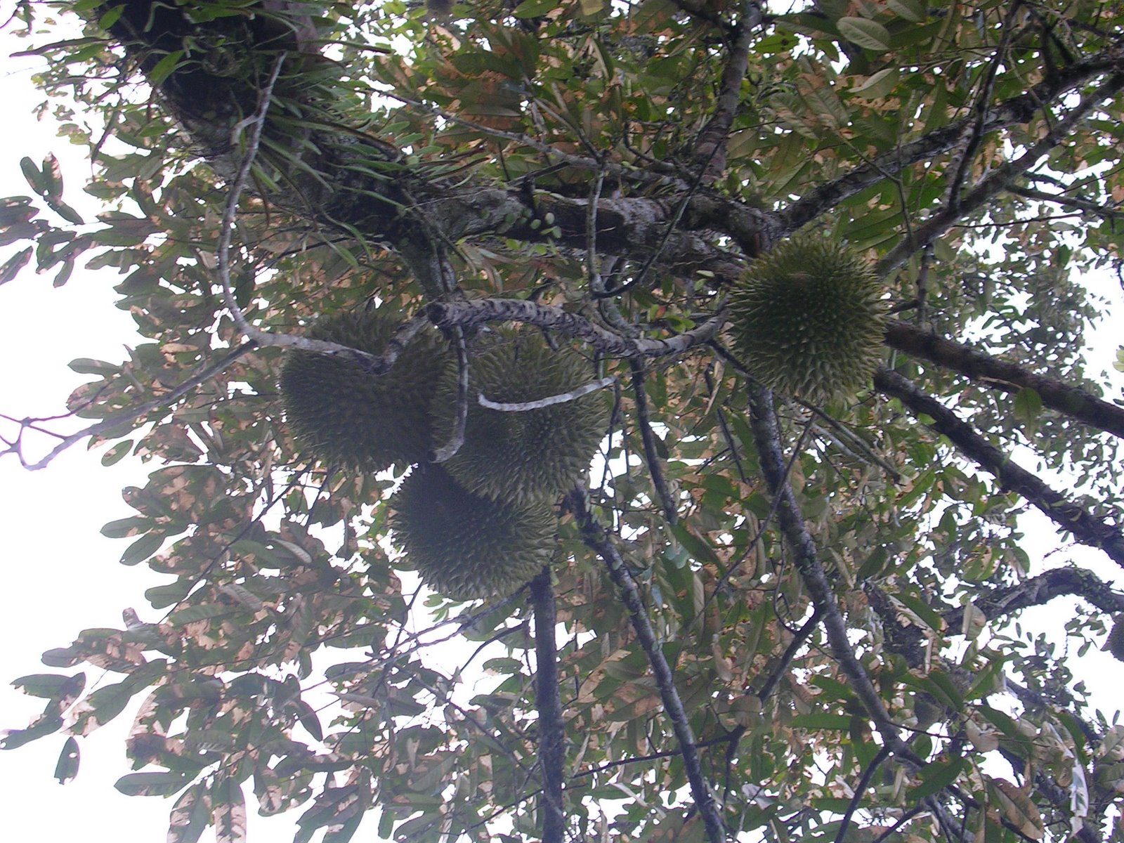 [DSCN7015.JPG]