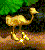 Animal Token