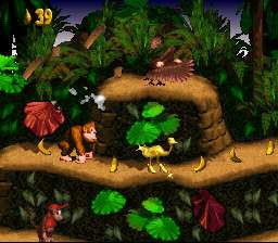 Jungle Hijinx