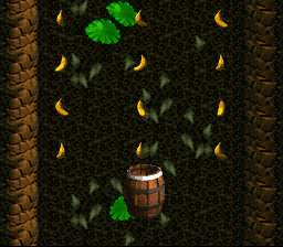 DKC Bonus Room 9