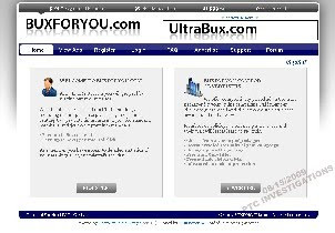 Buxforyou