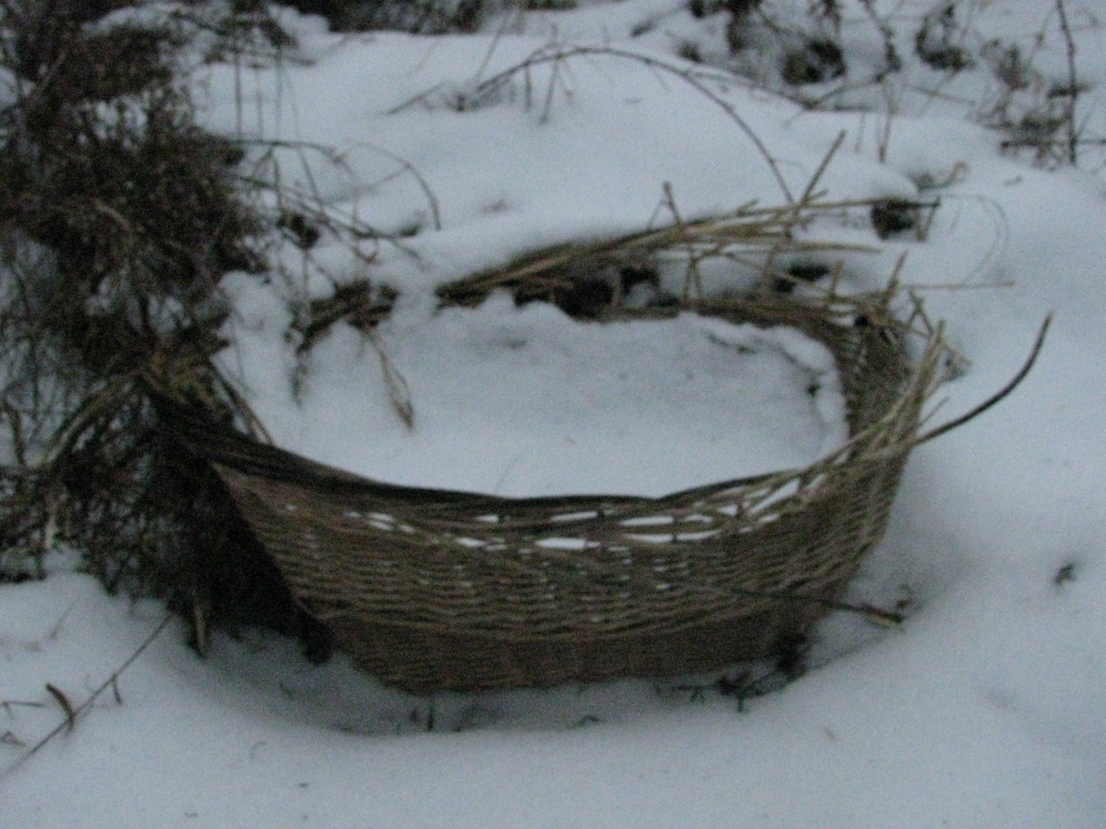 [IMG_0775.JPG]