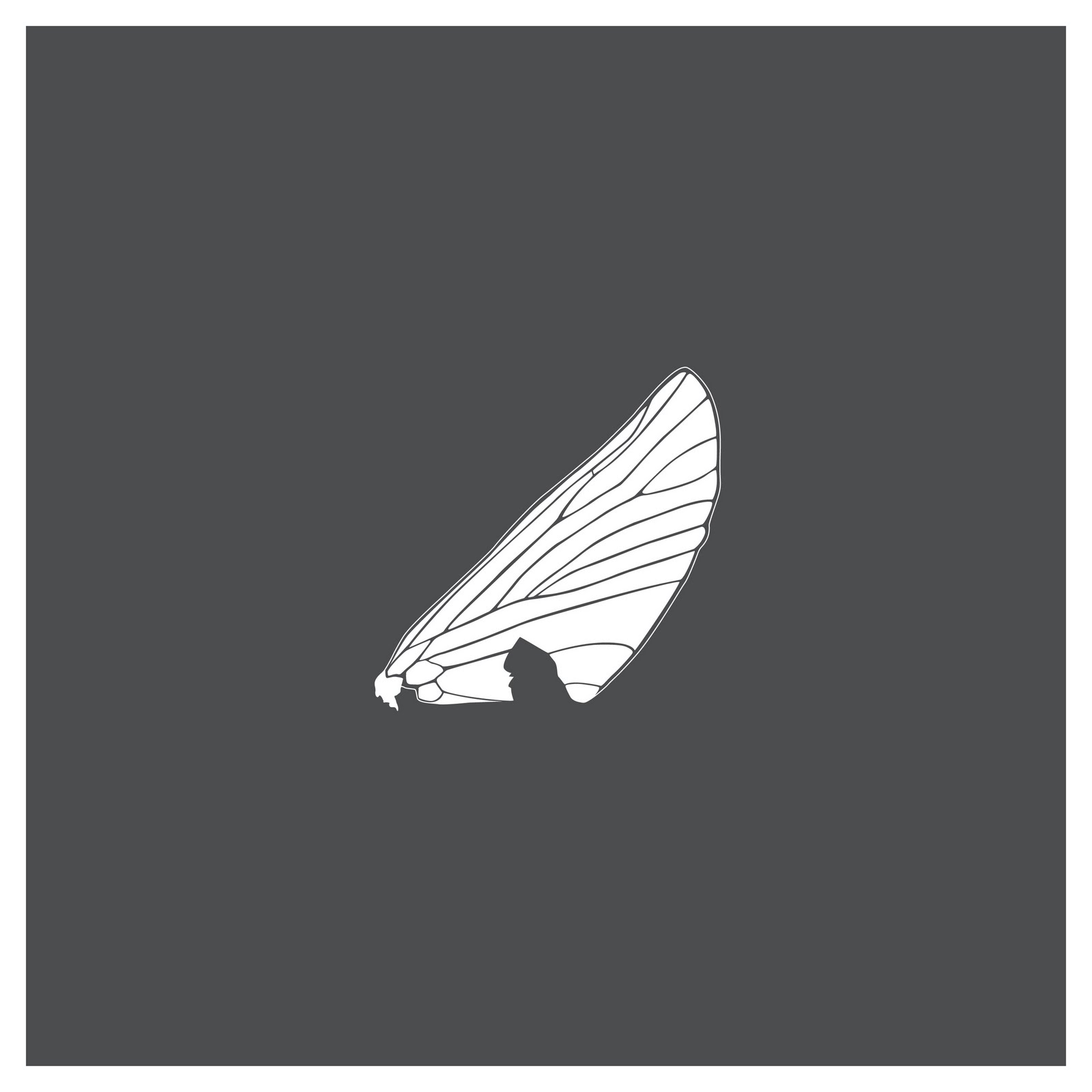 [Web_Extract_#2.jpg]