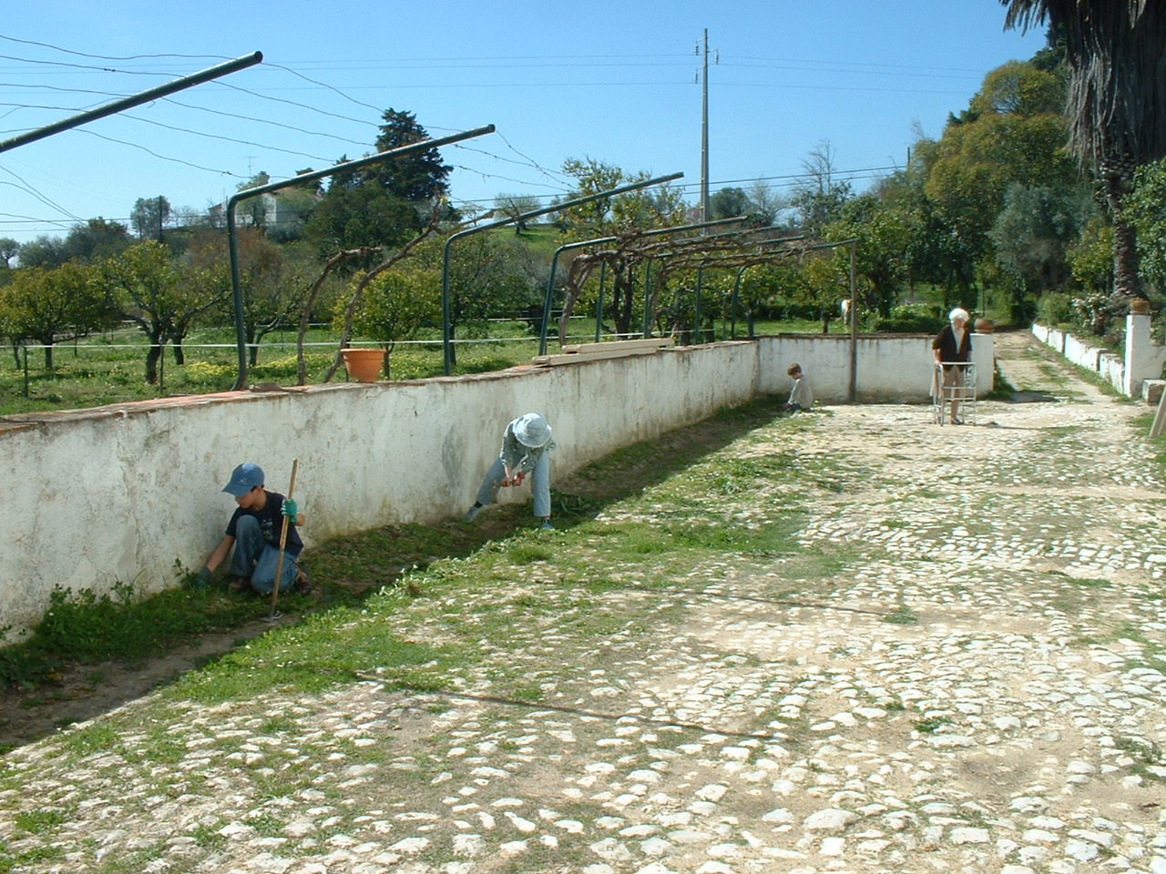 [DSCF0538.JPG]