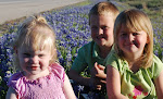 The bluebonnets in Texas