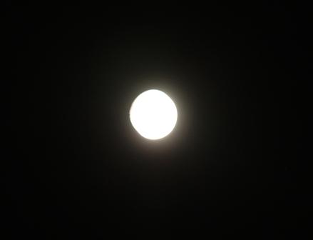 [lua.JPG]