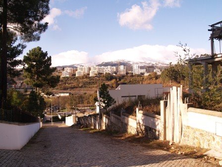 [PC012204.JPG]