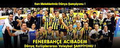 2010 DÜNYA KULÜPLER ŞAMPİYONU