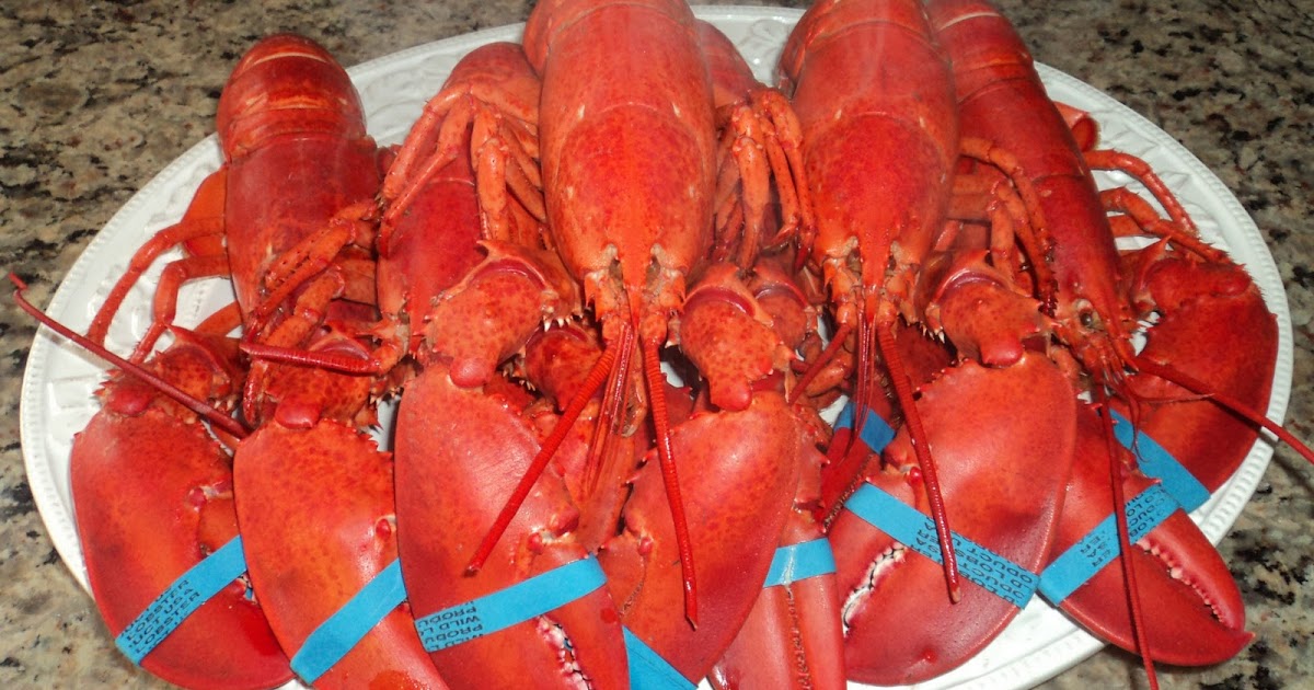 YamDankee Christmas Eve Eve tradition 2 Lobster Stew