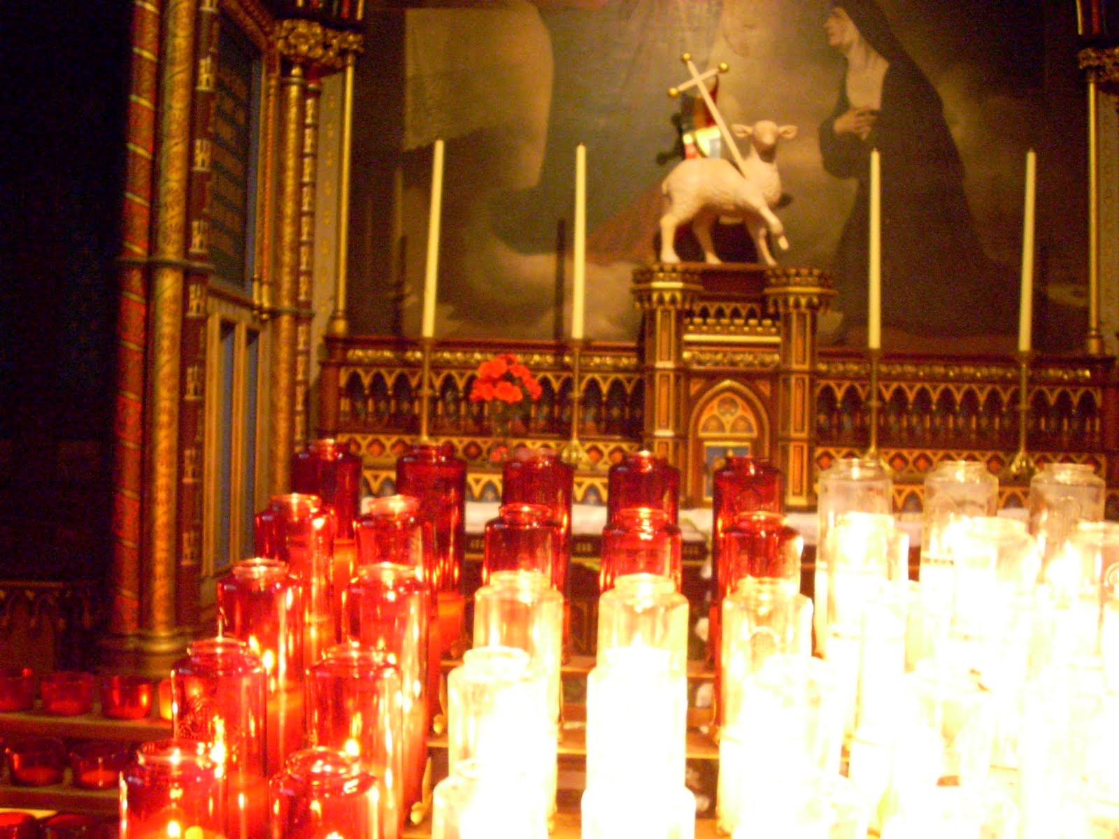 [DSCN1735.JPG]