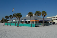 The Palm Pavilion
