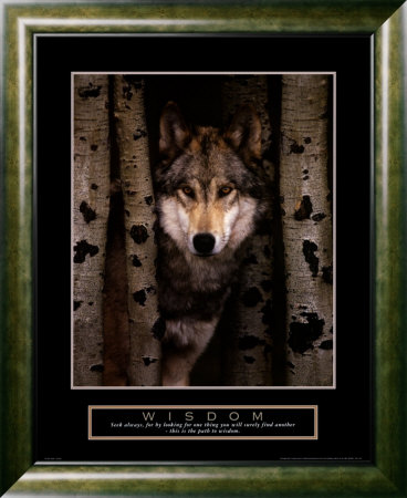 [PF_971029~Wisdom-Gray-Wolf-Posters.jpg]