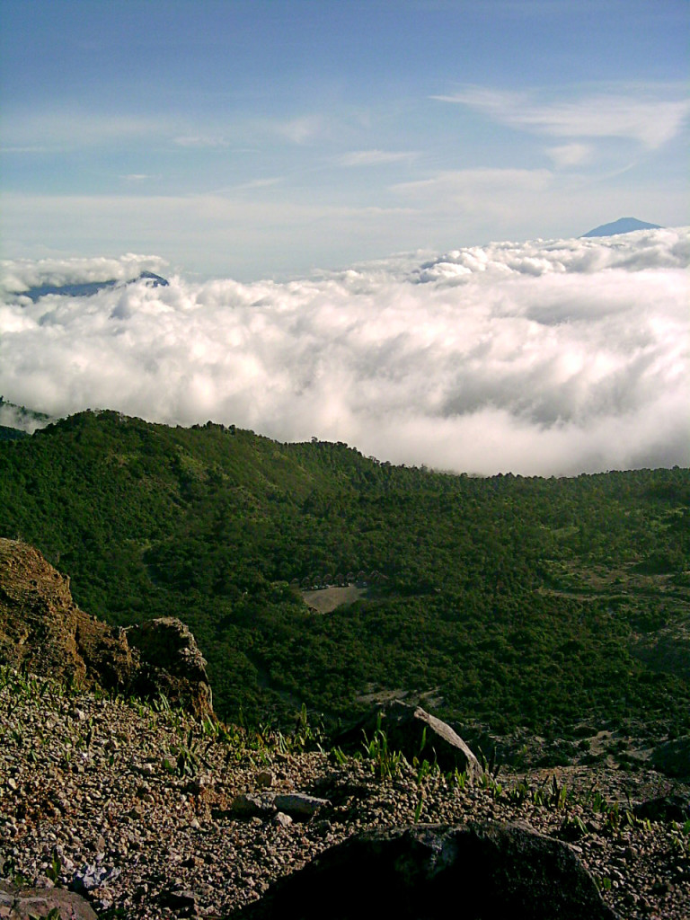 [view]