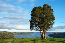 Soledad y quietud