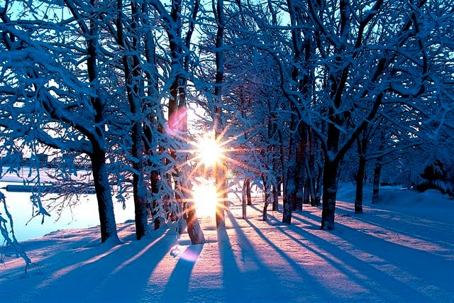 [Winter_Sun_1.14100204.jpg]